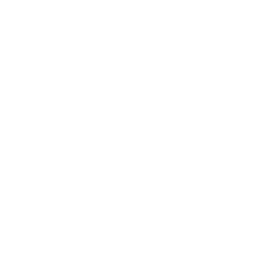The Bear